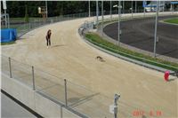 17_Tv_audio_video_Greyhound_Park_Motol_Czech_Greyhound_Racing_Federation_DSC07518.JPG