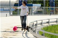 chrti_test_Greyhound_Park_Prague_CGDF_DSC_6549.jpg