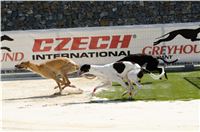 chrti_test_Greyhound_Park_Prague_CGDF_DSC_6626.jpg