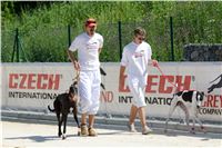 chrti_test_Greyhound_Park_Prague_CGDF_DSC_6647.jpg