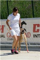 chrti_test_Greyhound_Park_Prague_CGDF_DSC_6651.jpg