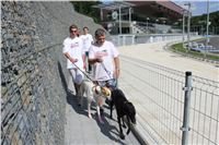 chrti_test_Greyhound_Park_Prague_CGDF_IMG_6465.JPG