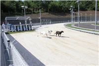 chrti_test_Greyhound_Park_Prague_CGDF_IMG_6484.JPG