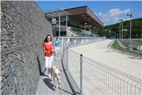 chrti_test_Greyhound_Park_Prague_CGDF_IMG_6568.JPG