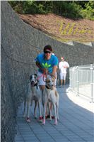 chrti_test_Greyhound_Park_Prague_CGDF_IMG_6572.JPG