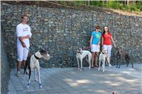 chrti_test_Greyhound_Park_Prague_CGDF_IMG_6576.JPG