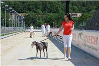 chrti_test_Greyhound_Park_Prague_CGDF_IMG_6609.JPG