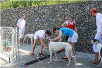 chrti_test_Greyhound_Park_Prague_CGDF_IMG_6615.JPG