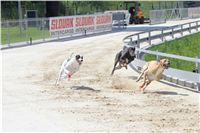 chrti_test_Greyhound_Park_Prague_CGDF_IMG_6732.JPG