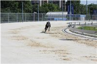 chrti_test_Greyhound_Park_Prague_CGDF_IMG_6771.JPG