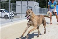 chrti_test_Greyhound_Park_Prague_CGDF_IMG_6807.JPG