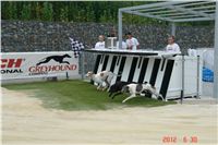 chrti_testy_Greyhound_Park_Motol_CGDF_DSC08629.JPG