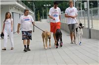 chrti_testy_Greyhound_Park_Motol_CGDF_DSC_6728.jpg