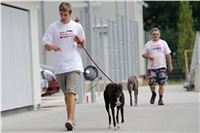 chrti_testy_Greyhound_Park_Motol_CGDF_DSC_6765.jpg