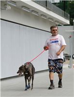 chrti_testy_Greyhound_Park_Motol_CGDF_DSC_6774.jpg