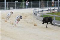 chrti_testy_Greyhound_Park_Motol_CGDF_IMG_6961.JPG