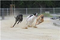 chrti_testy_Greyhound_Park_Motol_CGDF_IMG_6976.jpg