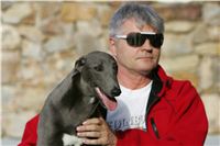 Big_Daddy_GUCCI_NQ1M4932_Czech_Greyhound_Racing.jpg