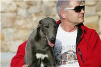 Big_Daddy_GUCCI_NQ1M4935_Czech_Greyhound_Racing.JPG