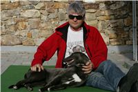 Big_Daddy_GUCCI_NQ1M4944_Czech_Greyhound_Racing.JPG