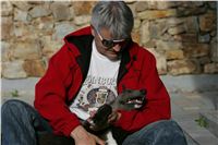 Big_Daddy_GUCCI_NQ1M4976_Czech_Greyhound_Racing.JPG