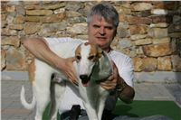 Big_Daddy_Louis_NQ1M4837_Czech_Greyhound_Racing.JPG