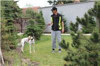 Greyhound_Chateaux_garden_CGDF_IMG_7540.JPG