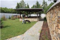 Greyhound_Chateaux_garden_CGDF_IMG_7557.JPG