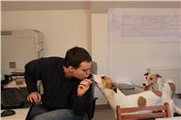 Chrti_Greyhound_Chateaux_Czech_Greyhound_Racing_IMG_1910.JPG