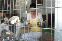 Greyhound_chateaux_feeding_CGDF_DSC04540.jpg