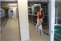 Greyhound_Park_Motol_Prague_CGDF_IMG_7653.JPG