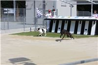 Greyhound_Park_Motol_Prague_CGDF_IMG_7674.JPG