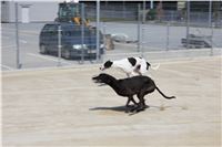 Greyhound_Park_Motol_Prague_CGDF_IMG_7675.JPG