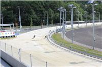 Greyhound_Park_Motol_Prague_CGDF_IMG_7698.JPG