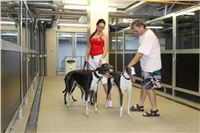 Greyhound_Park_Motol_Prague_CGDF_IMG_7716.JPG