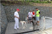 Greyhound_Park_Motol_Prague_CGDF_IMG_7800.JPG