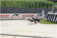 Greyhound_Park_Motol_Prague_CGDF_IMG_7806.JPG