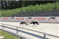 Greyhound_Park_Motol_Prague_CGDF_IMG_7808.JPG