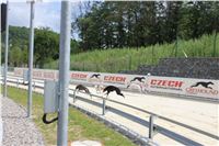 Greyhound_Park_Motol_Prague_CGDF_IMG_7809.JPG