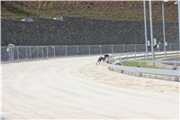 Greyhound_Park_Motol_Prague_CGDF_IMG_7811.JPG