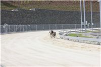 Greyhound_Park_Motol_Prague_CGDF_IMG_7812.JPG