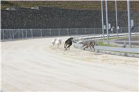 Greyhound_Park_Motol_Prague_CGDF_IMG_7813.JPG