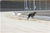 Greyhound_Park_Motol_Prague_CGDF_IMG_7814.JPG