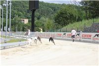 Greyhound_Park_Motol_Prague_CGDF_IMG_7815.JPG