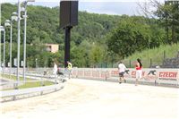 Greyhound_Park_Motol_Prague_CGDF_IMG_7816.JPG