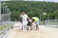 Greyhound_Park_Motol_Prague_CGDF_IMG_7820.JPG