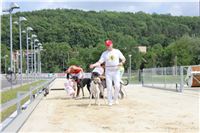 Greyhound_Park_Motol_Prague_CGDF_IMG_7822.JPG