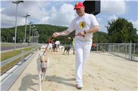 Greyhound_Park_Motol_Prague_CGDF_IMG_7823.jpg