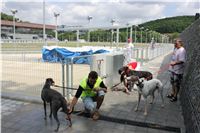 Greyhound_Park_Motol_Prague_CGDF_IMG_7835.JPG