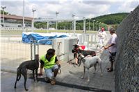 Greyhound_Park_Motol_Prague_CGDF_IMG_7836.JPG